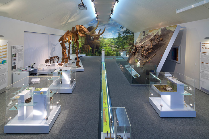 mammut-museum-niederweningen-schulreise-schulausflug