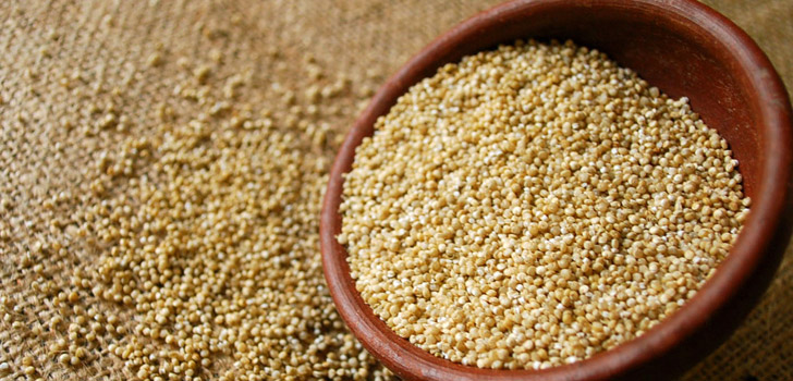 quinoa wirkung